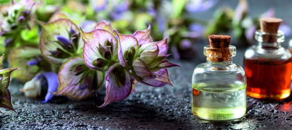 Картинка к статье: Top notes that highlight the sexiness and sensuality in the world of perfume. A review from Sunday21.